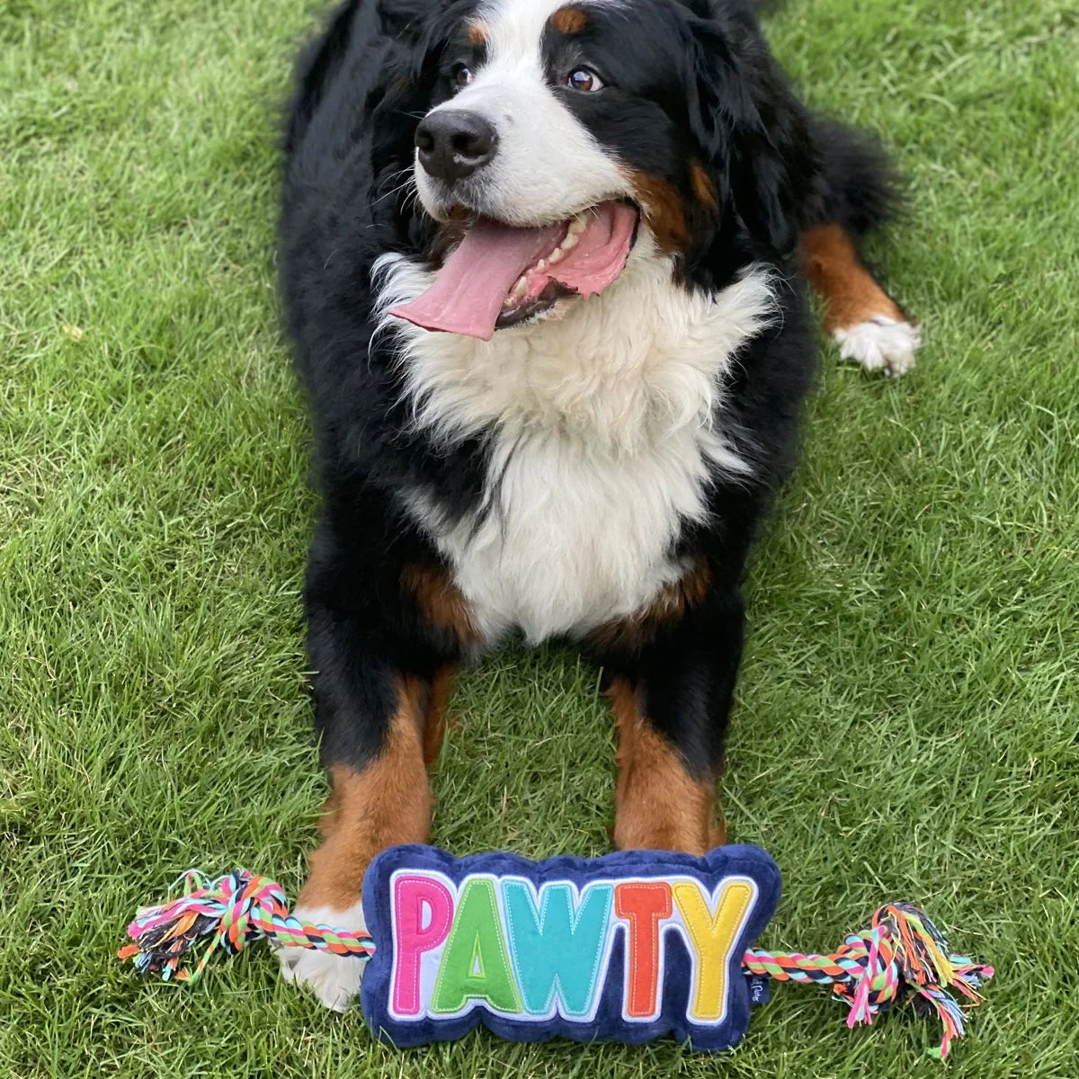 Dog Plush Toy with Rope