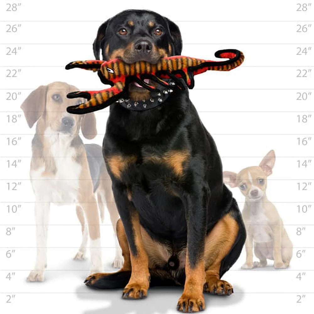 Desert Scorpion, Squeaky and Durable Dog Toy