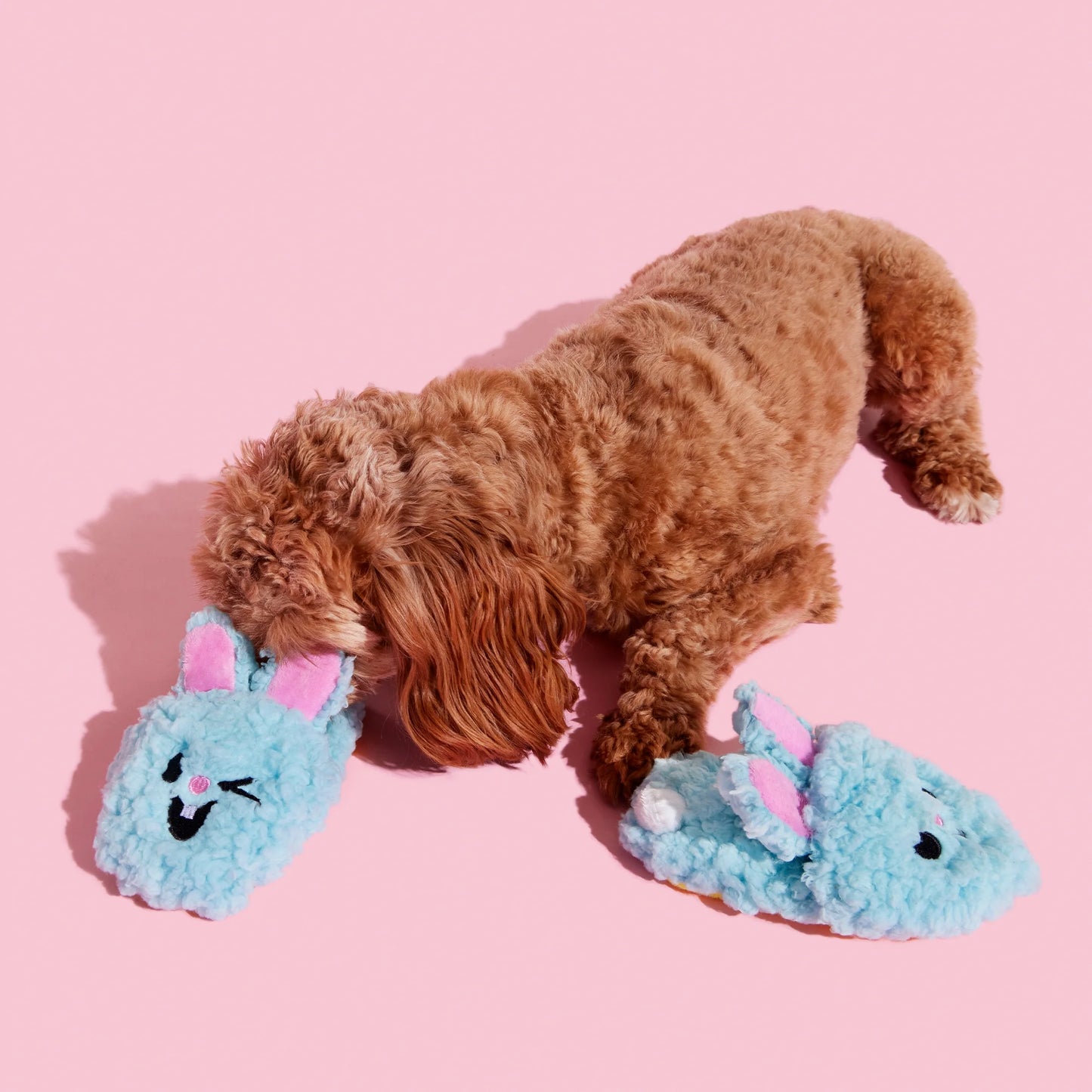 Plush Dog Toys Yippy & Skippy Slippies with Squeakers and Crazy Crinkle, for Dogs of All Sizes