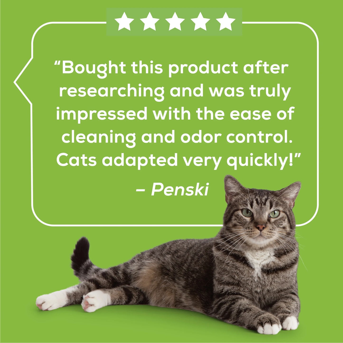 Purina Breeze Litter System Cat Pad Refills, Breeze Morning Fresh Scent 10Ct. Refill Pack, 10 Ct. Box