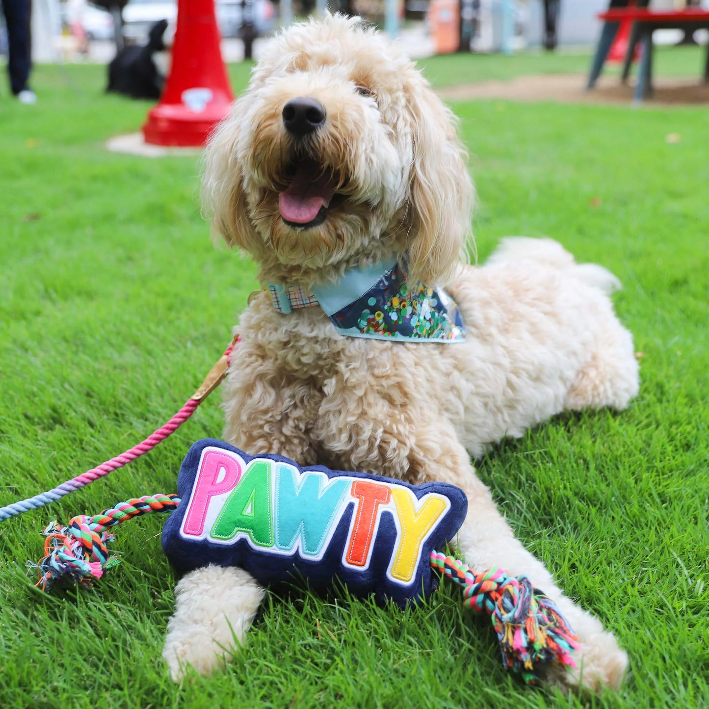 Dog Plush Toy with Rope