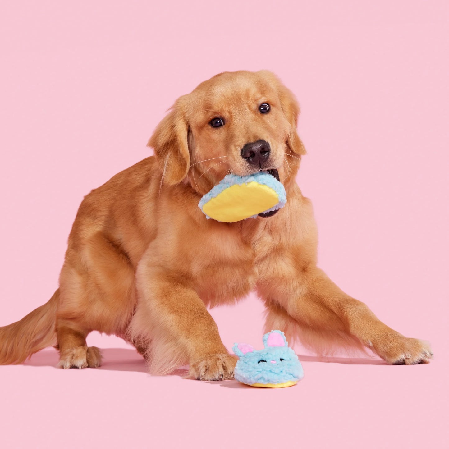 Plush Dog Toys Yippy & Skippy Slippies with Squeakers and Crazy Crinkle, for Dogs of All Sizes