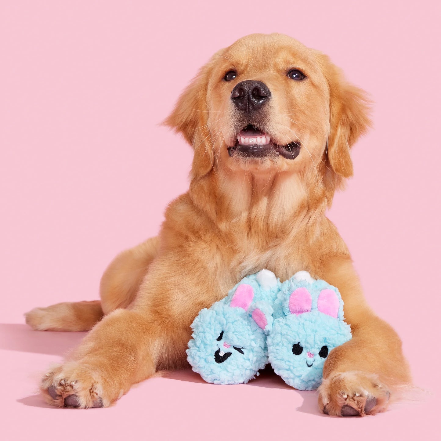 Plush Dog Toys Yippy & Skippy Slippies with Squeakers and Crazy Crinkle, for Dogs of All Sizes