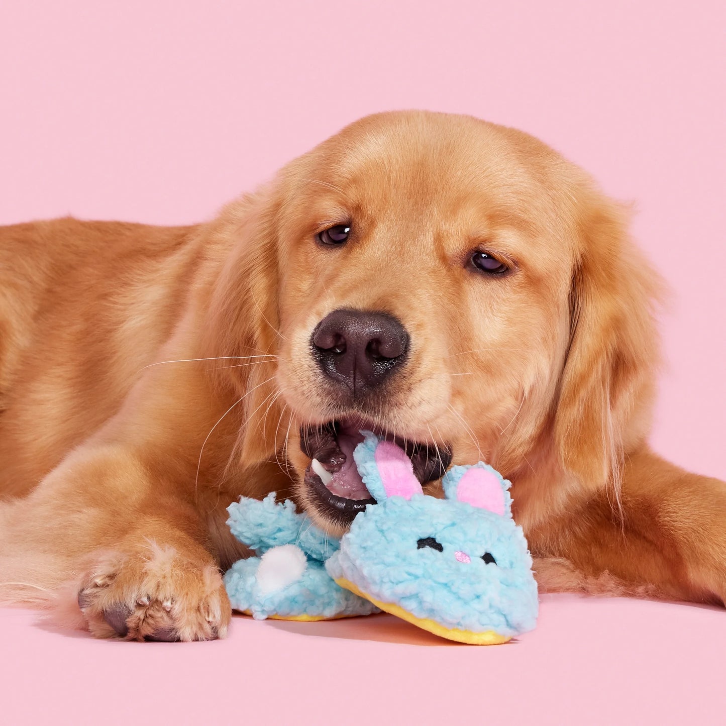 Plush Dog Toys Yippy & Skippy Slippies with Squeakers and Crazy Crinkle, for Dogs of All Sizes