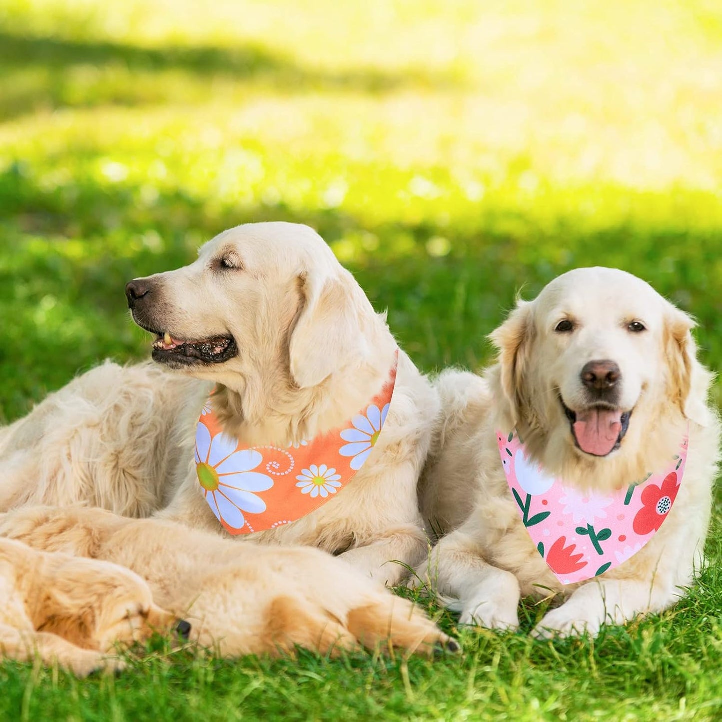 8 Pieces Dog Bandanas for Summer Flower Print Triangle Bibs Floral Puppy Scarf Kerchief Accessories for Dogs Cats Pets(L, Summer Flower)
