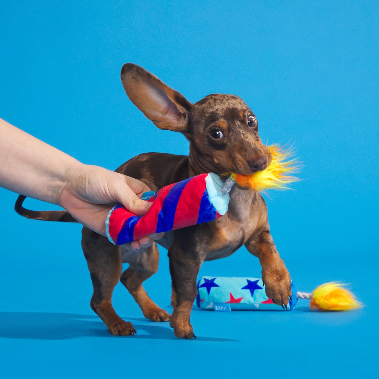Pup-Pup Fireworks - 2 Yankee Doodle Dog Toys, XS-S Dogs, with T-Shirt Rope Great for Tug-O-War