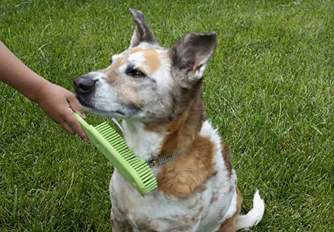 Original Indoor Pet Hair Rubber Broom and Pet Hair Remover Lint Brush Set, Colors May Vary Broom and Brush Combo