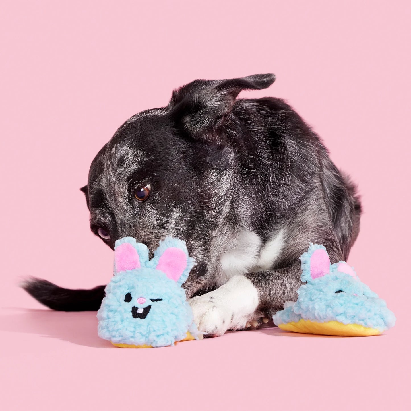 Plush Dog Toys Yippy & Skippy Slippies with Squeakers and Crazy Crinkle, for Dogs of All Sizes