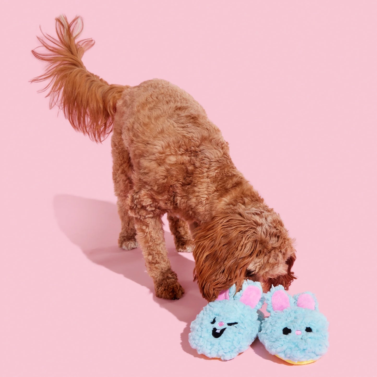 Plush Dog Toys Yippy & Skippy Slippies with Squeakers and Crazy Crinkle, for Dogs of All Sizes