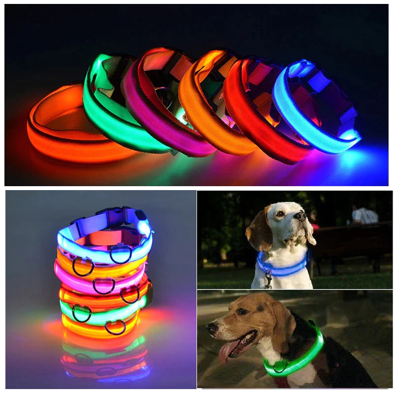 Illuminate Your Pup's Safety: Adjustable LED Light-Up Dog Collar - Waterproof & Flashing!