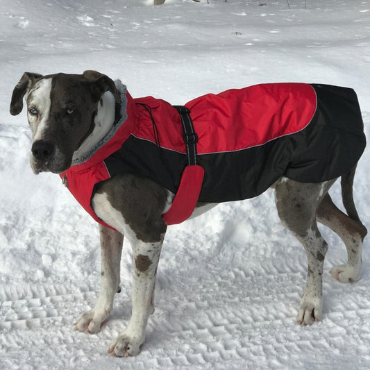 Alpine All-Weather Dog Coat - Red and Black (4XL)