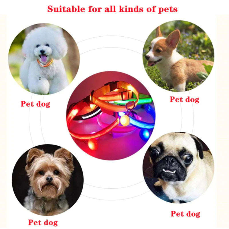 Illuminate Your Pup's Safety: Adjustable LED Light-Up Dog Collar - Waterproof & Flashing!