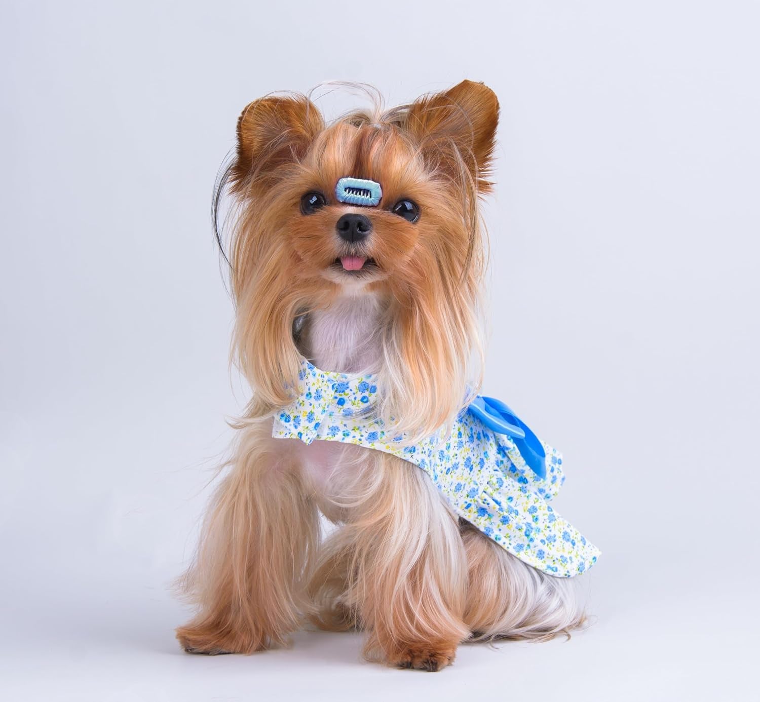 Floral Print Dog Dress with Satin Bow and Pearl for Small Dogs Girl, Cat Apparel,Blue, X-Small