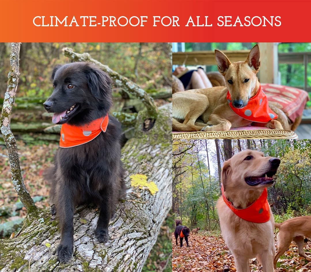 Reflective Dog Bandanas - High Visibility Safety Dog Accessories for Small, Large Dogs, Orange Collar, Scarf, Kerchief, Bib for Hunting, Camping, Walking at Night (Blaze Orange, XS-S)