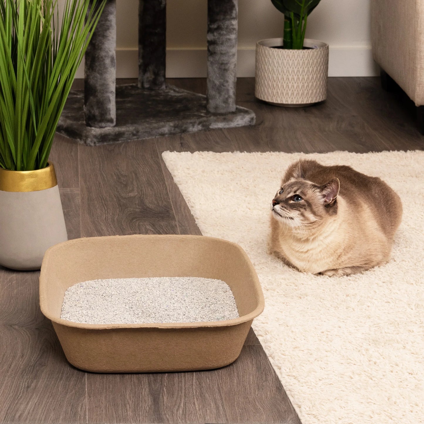 Eco-Friendly Disposable Litter Box Large (Pack of 6)