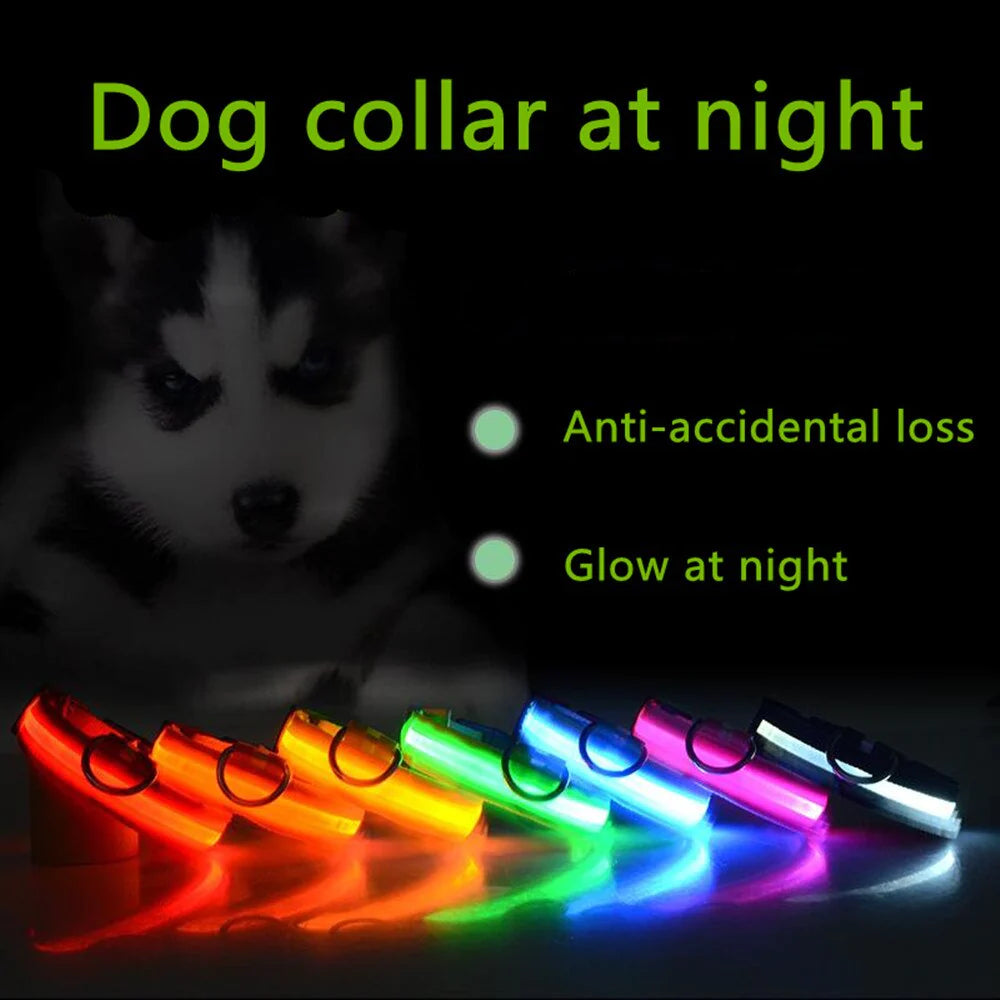 Illuminate Your Pup's Safety: Adjustable LED Light-Up Dog Collar - Waterproof & Flashing!