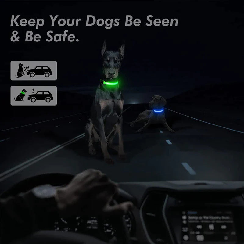 Illuminate Your Pup's Safety: Adjustable LED Light-Up Dog Collar - Waterproof & Flashing!