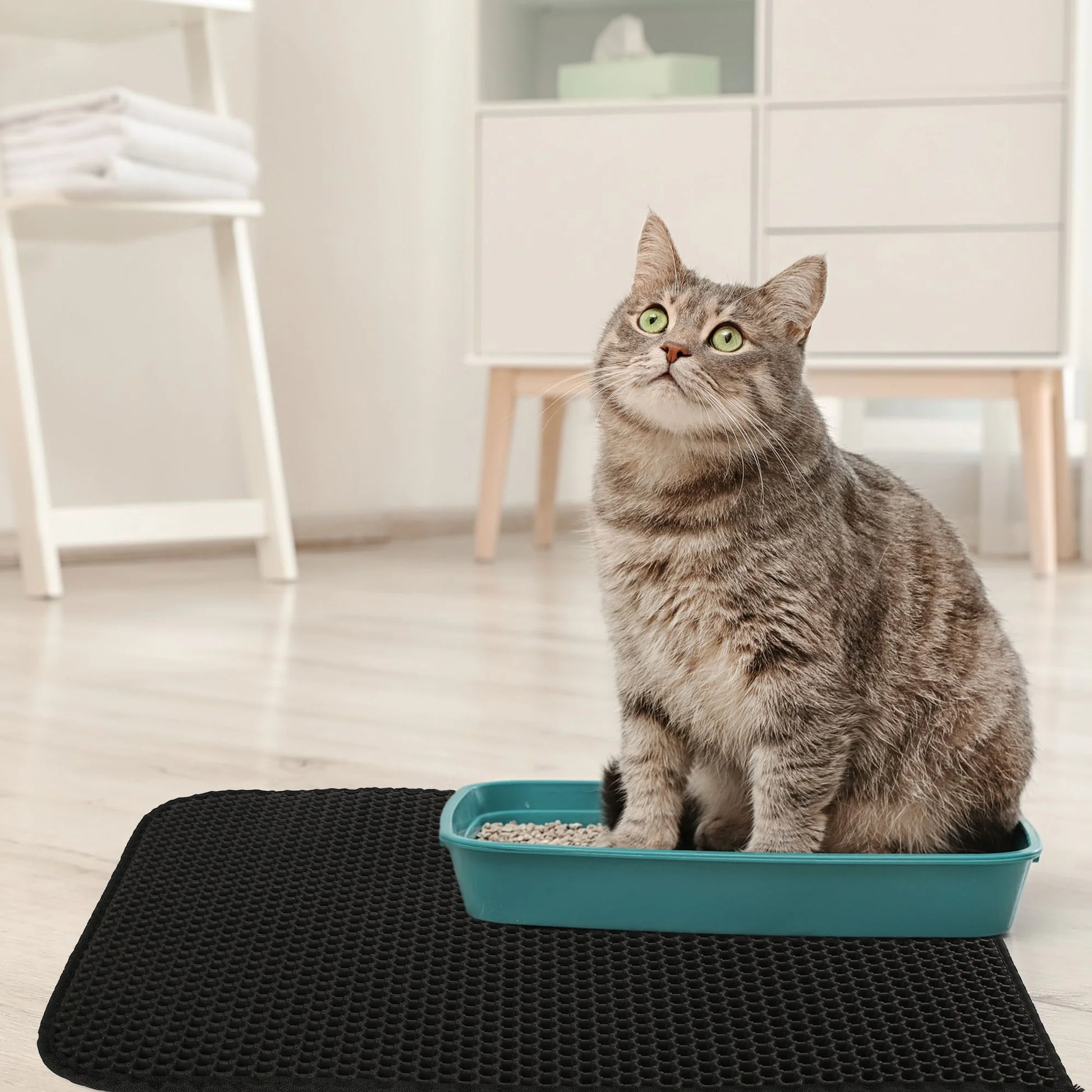 Cat Litter Mat, Double Layer Urine Waterproof Trapper Mat, Non-Slip,24X15 In, Black