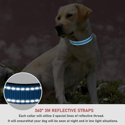 Reflective Dog Collar with Buckle Adjustable Safety Nylon Collars for Small Medium Large Dogs, Blue XL