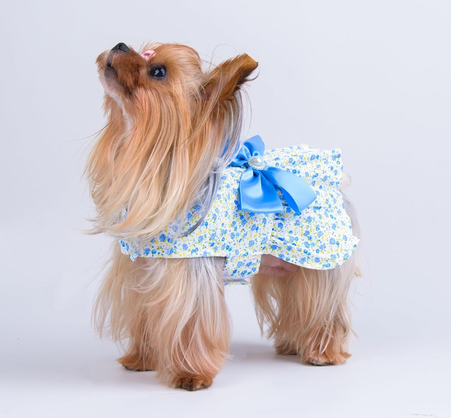 Floral Print Dog Dress with Satin Bow and Pearl for Small Dogs Girl, Cat Apparel,Blue, X-Small