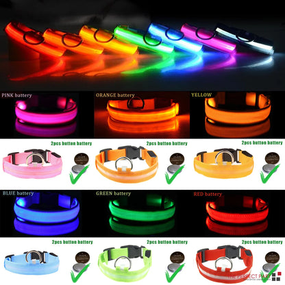 Illuminate Your Pup's Safety: Adjustable LED Light-Up Dog Collar - Waterproof & Flashing!