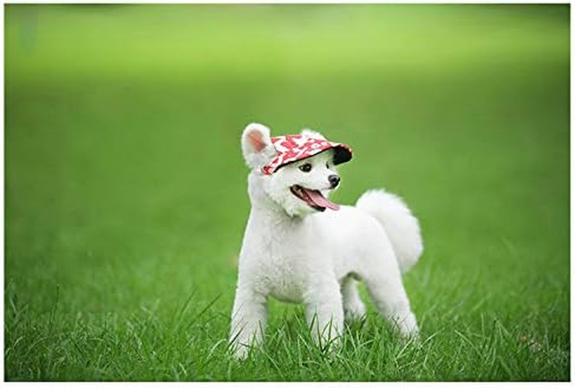 Baseball Caps Hats with Neck Strap Adjustable Comfortable Ear Holes for Small Medium and Large Dogs in Outdoor Sun Protection (L, Black Jeans)