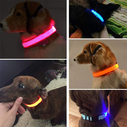 Illuminate Your Pup's Safety: Adjustable LED Light-Up Dog Collar - Waterproof & Flashing!