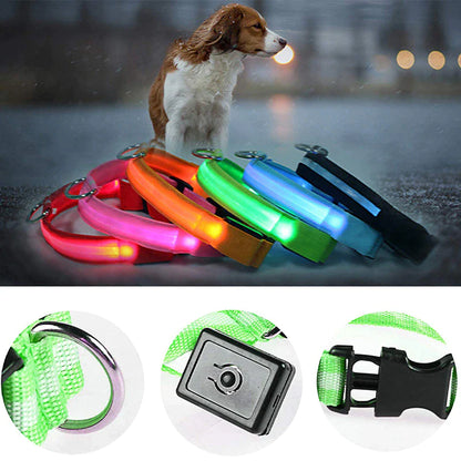 Illuminate Your Pup's Safety: Adjustable LED Light-Up Dog Collar - Waterproof & Flashing!