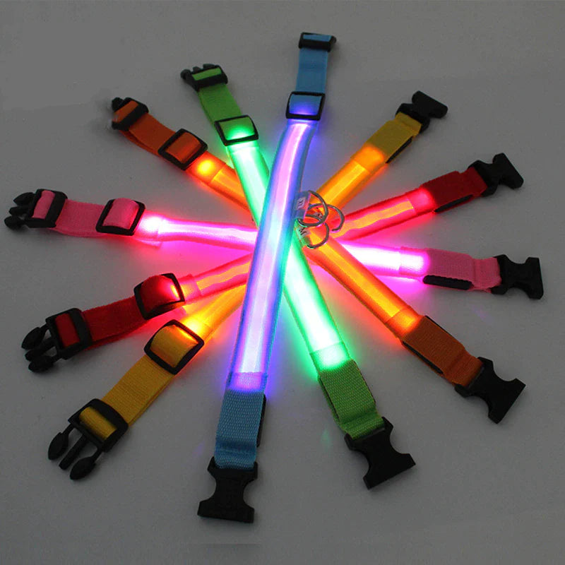 Illuminate Your Pup's Safety: Adjustable LED Light-Up Dog Collar - Waterproof & Flashing!