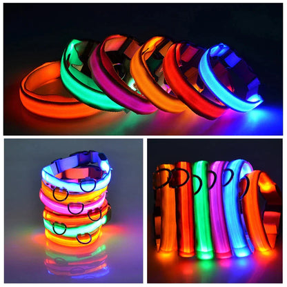 Illuminate Your Pup's Safety: Adjustable LED Light-Up Dog Collar - Waterproof & Flashing!