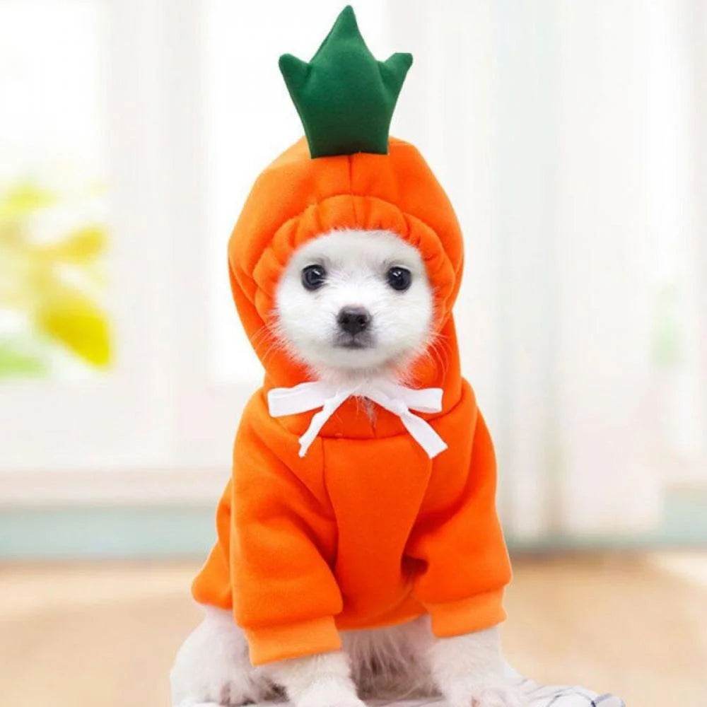 Winter Warm Cute Plush Dog Coat Hoodies for French Bulldog, Pet Halloween Frog Fruit Cosplay Costume for Small Dogs