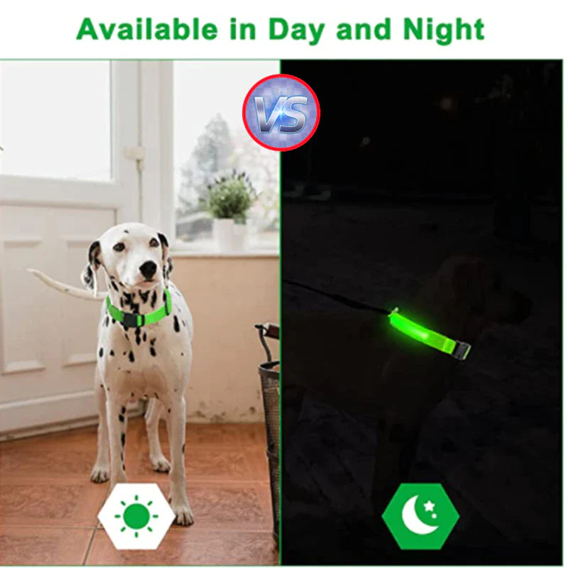 Illuminate Your Pup's Safety: Adjustable LED Light-Up Dog Collar - Waterproof & Flashing!