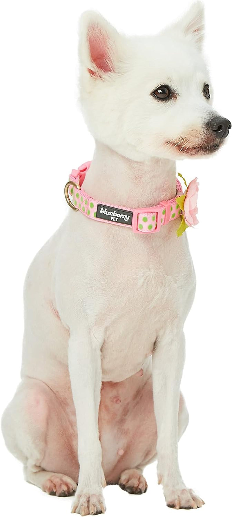 4 Patterns Adjustable Flocking Dog Collar with Artificial Silk Flower - Polka Dot in Baby Pink, Large, Neck 18"-26"