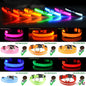 Illuminate Your Pup's Safety: Adjustable LED Light-Up Dog Collar - Waterproof & Flashing!