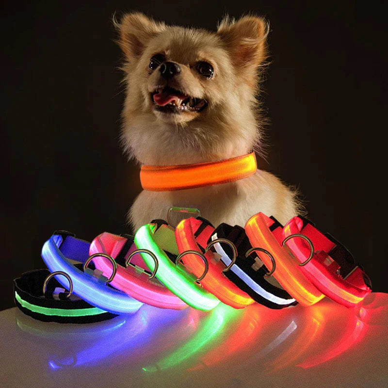 Illuminate Your Pup's Safety: Adjustable LED Light-Up Dog Collar - Waterproof & Flashing!