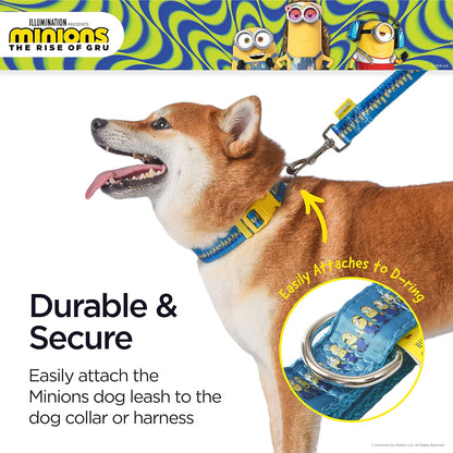 Dog Leash, 4Ft (48In) Blue and Yellow  in a Row | Gifts for  Fans and Their Pets | Officially Licensed Pet Product from Universal Studios