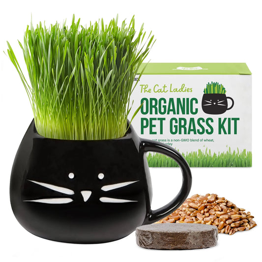 Organic Cat Grass Growing Kit with Black Cat Mug Planter